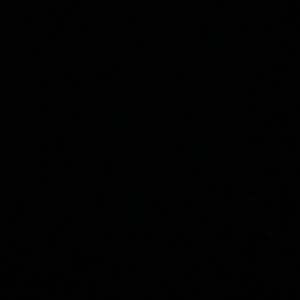 Meet your Posher, Fiona